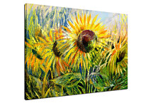 Obraz Slnečnice zs24160