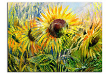 Obraz Slnečnice zs24160