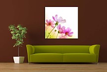 Obraz na stenu Poľné Kvety zs24176