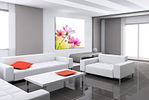 Obraz na stenu Poľné Kvety zs24176