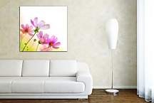 Obraz na stenu Poľné Kvety zs24176