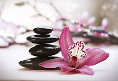 Obraz na stenu ZS - bez pomeru strán