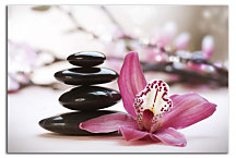 Obraz na stenu Spa zs24217