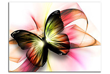 Obraz na stenu s motýľom zs24222