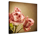 Obraz Ruže zs24223