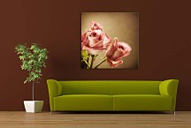 Obraz Ruže zs24223