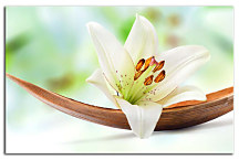 Obraz na stenu Kvet Vanilka zs24228