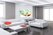 Obraz na stenu Kvet Vanilka zs24228