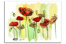 Obrazy Kvety zs24243