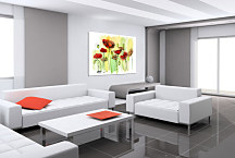 Obrazy Kvety zs24243