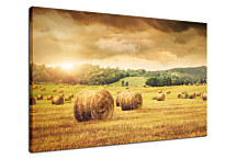 Obraz Príroda - Pole zs24247