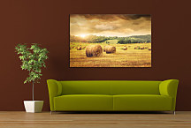 Obraz Príroda - Pole zs24247