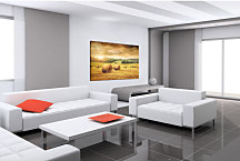 Obraz Príroda - Pole zs24247