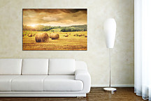 Obraz Príroda - Pole zs24247