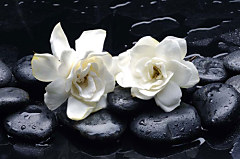 Obraz na stenu ZS - bez pomeru strán