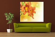 Obraz Kvety oranžové zs24272