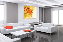 Obraz Kvety oranžové zs24272