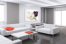 Tulipány Obraz zs24282