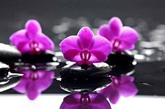 Obraz na stenu ZS - bez pomeru strán