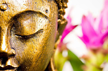 Obraz na stenu budha zs24303