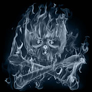 Obraz s lebkou zs24314