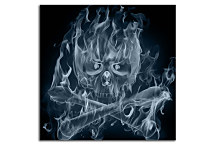 Obraz s lebkou zs24314