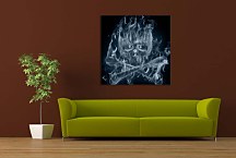 Obraz s lebkou zs24314