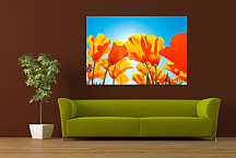 Kvety oranžové Obrazy zs24331