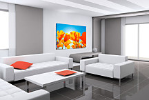 Kvety oranžové Obrazy zs24331