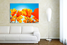 Kvety oranžové Obrazy zs24331