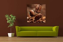 Káva - Obrazy zs24350