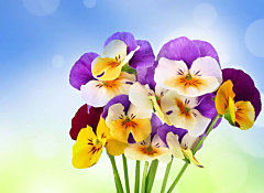 Obraz na stenu ZS - bez pomeru strán