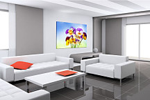 Obraz Kvety Fialky zs24352