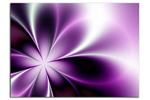 Obraz do obývačky Fialový zs24380