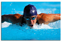 Obraz Šport - Plavec zs24388