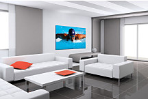 Obraz Šport - Plavec zs24388