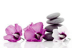 Obraz na stenu ZS - bez pomeru strán