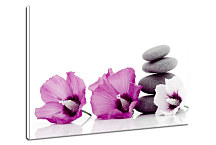 SPA obraz na stenu - Kvety s kameňmi zs24392