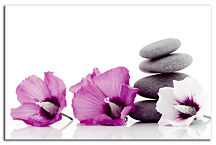 SPA obraz na stenu - Kvety s kameňmi zs24392