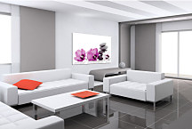 SPA obraz na stenu - Kvety s kameňmi zs24392