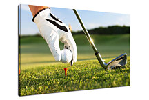 Obraz - Golf zs24393