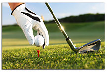 Obraz - Golf zs24393