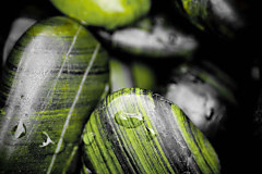 Obraz na stenu ZS - bez pomeru strán