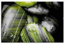 Zen Kamene Obrazy zs24397