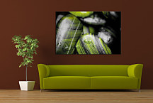 Zen Kamene Obrazy zs24397