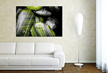 Zen Kamene Obrazy zs24397