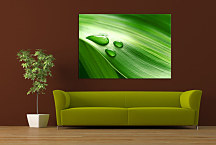 Obraz na stenu List zs24399