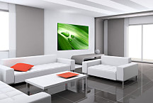 Obraz na stenu List zs24399