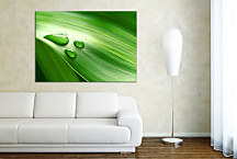 Obraz na stenu List zs24399