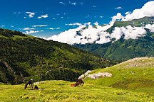 Príroda Obrazy zs24404